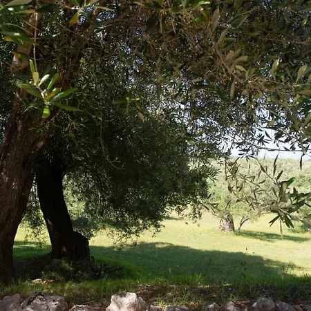 Villa Oleander *
